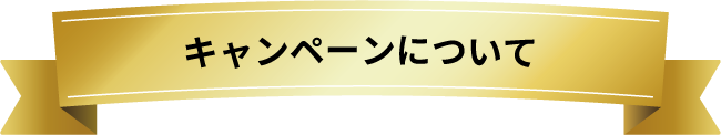 キャンペーンについて