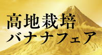 高地栽培バナナキャンペーン