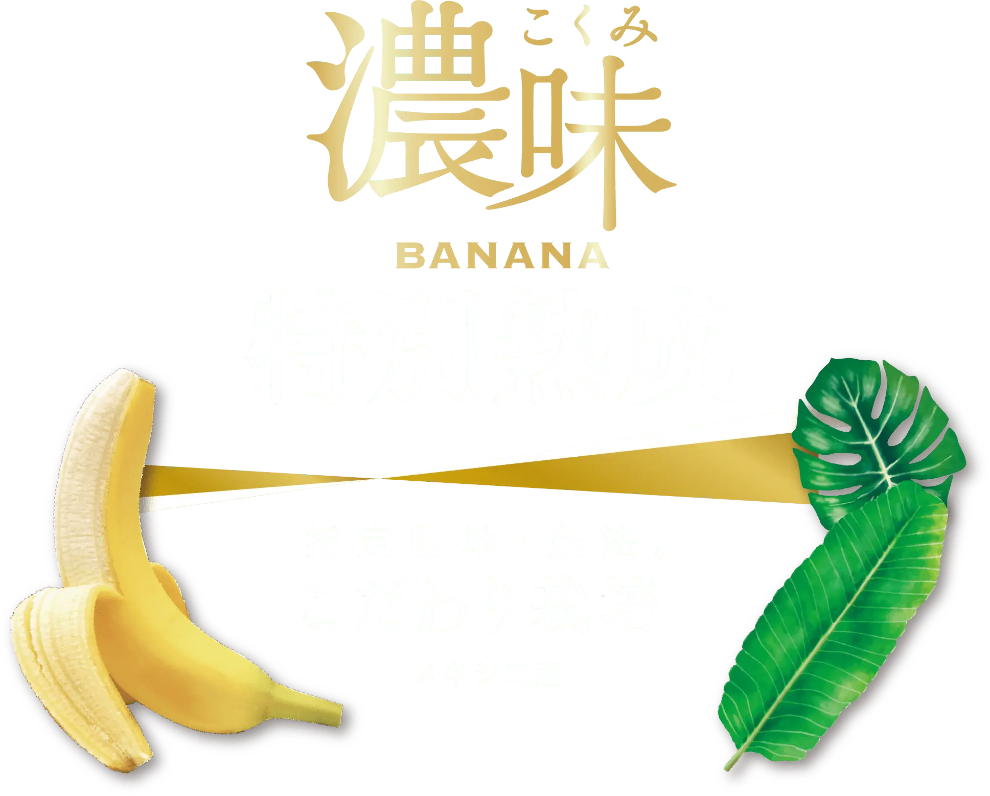 濃味 BANANA 特別熟成 指定園地・農法。こだわり栽培 メキシコ産