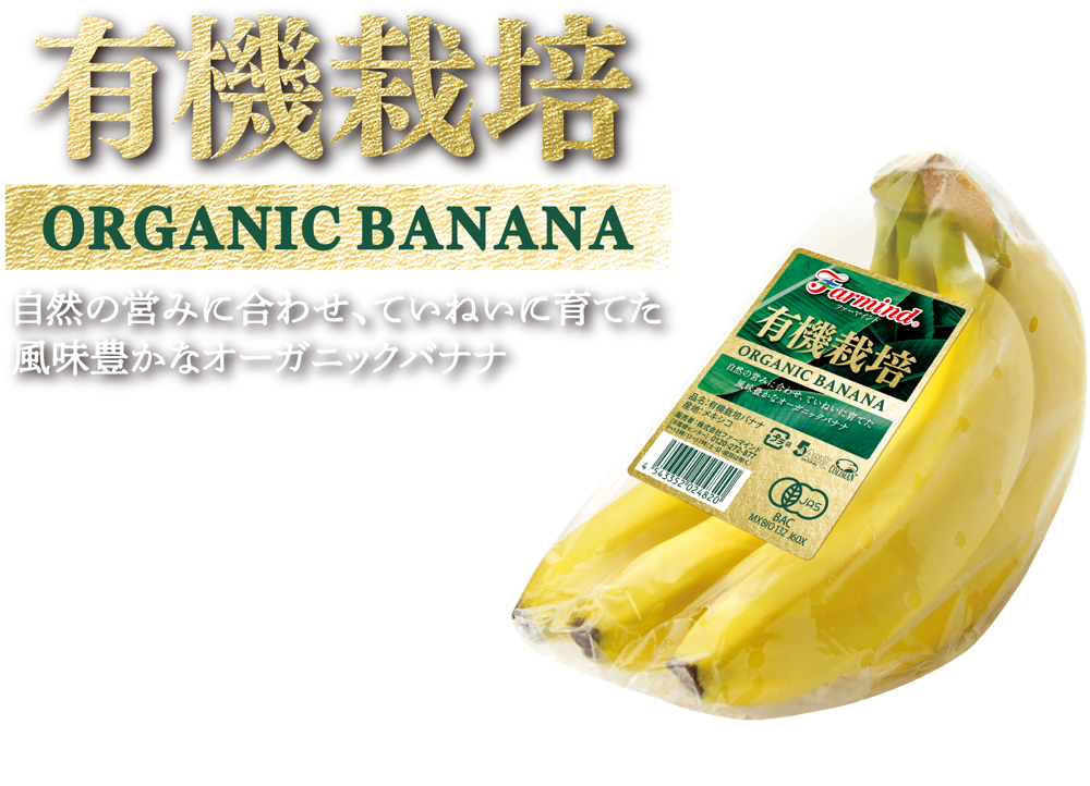 有機栽培 ORGANIC BANANA 自然の営みに合わせ、ていねいに育てた風味豊かなオーガニックバナナ。